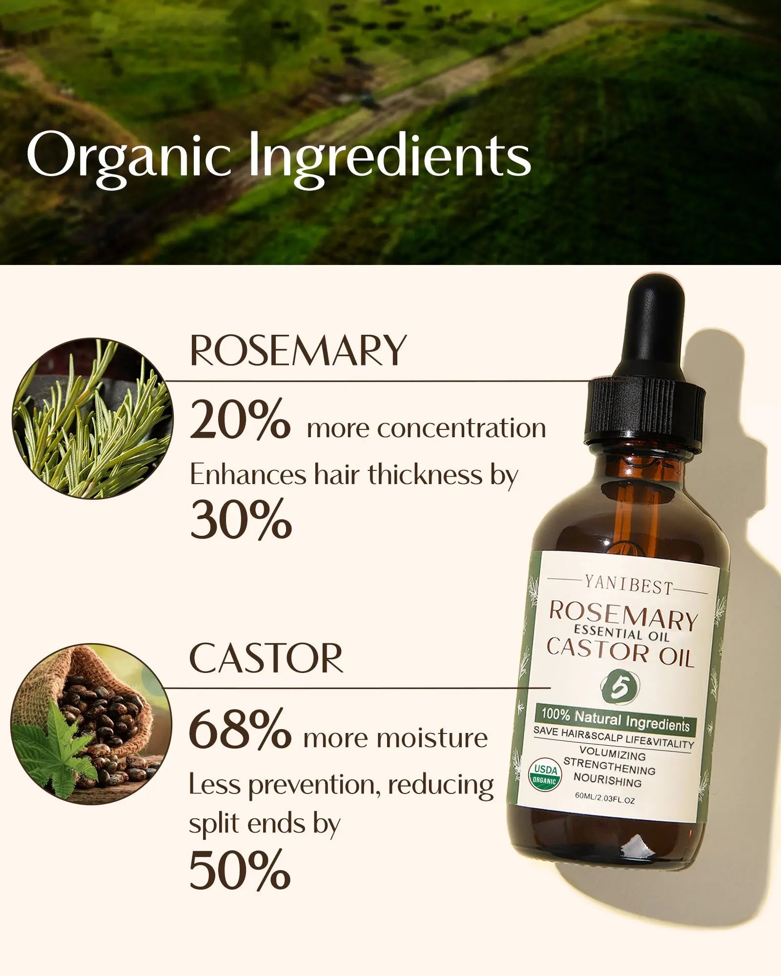 100% Natural Organic Rosemary Castor Hair Anti-Thinning Hair Oil - YANIBEST