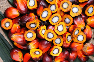The Remarkable Benefits of Batana Oil for Hair Care