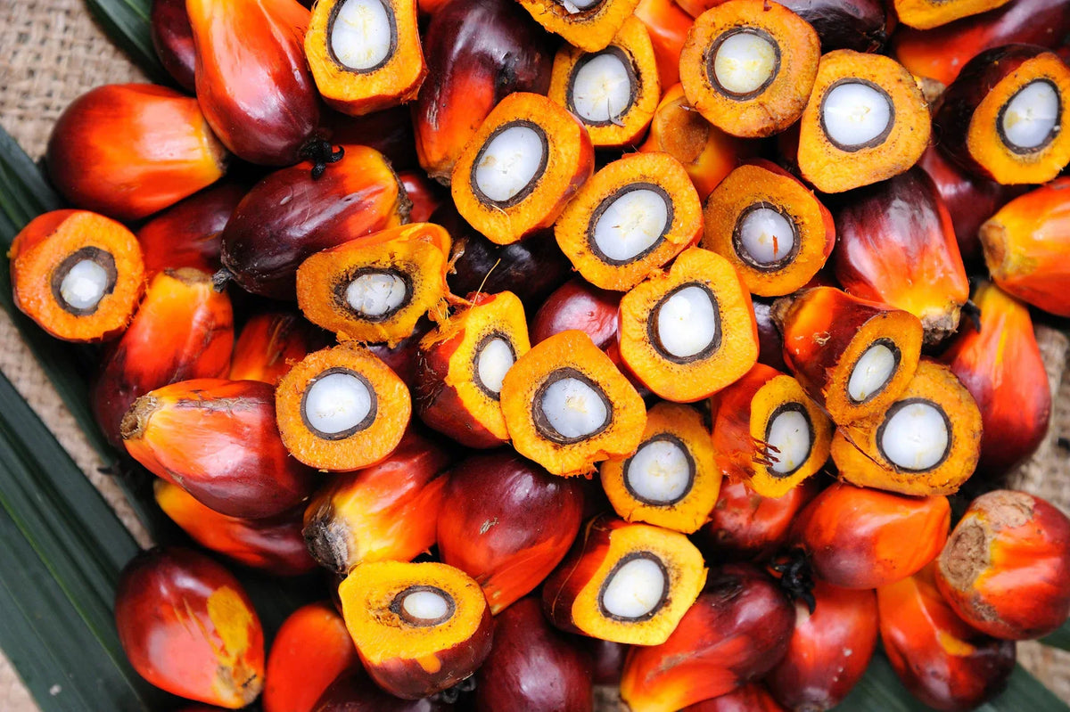 The Remarkable Benefits of Batana Oil for Hair Care