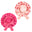 Baby Pink/ Hot Pink
