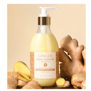 Ginger Clarifying&Strengthening Scalp Hair Shampoo - YANIBEST