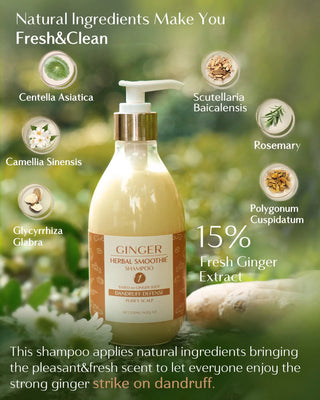 Ginger Clarifying&Strengthening Scalp Hair Shampoo - YANIBEST